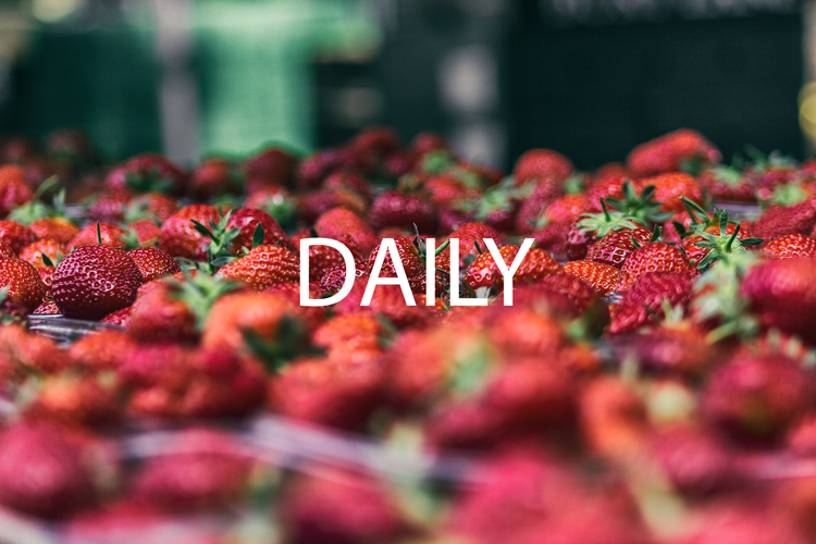 A Complete Guide to Columbus Farmers' Markets