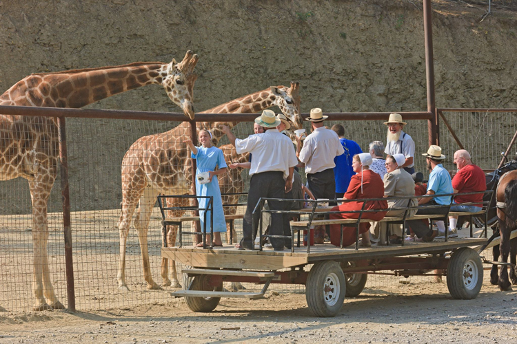 How to Spend a Weekend in Ohio's Amish Country
