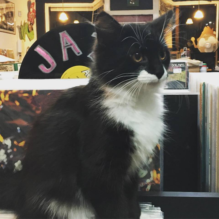 The 15 Best Record Shops in Ohio